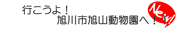 sR
